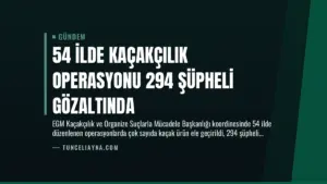54 İlde Kaçakçılık Operasyonu 294 Şüpheli Gözaltında