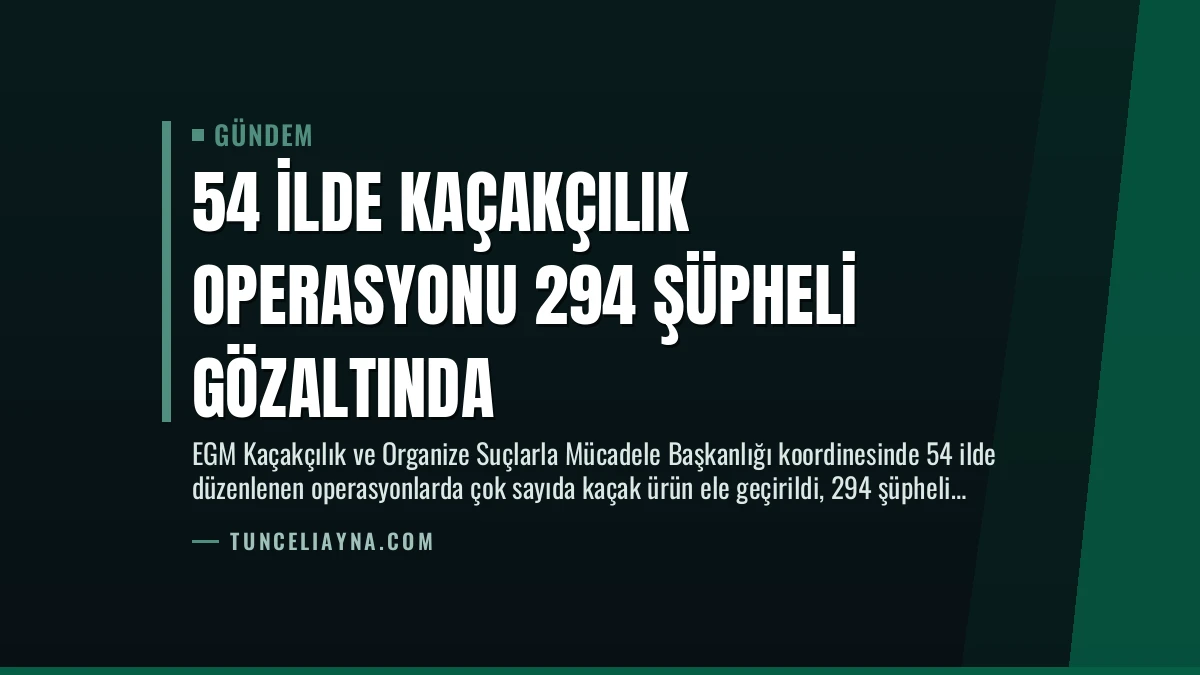 54 İlde Kaçakçılık Operasyonu 294 Şüpheli Gözaltında