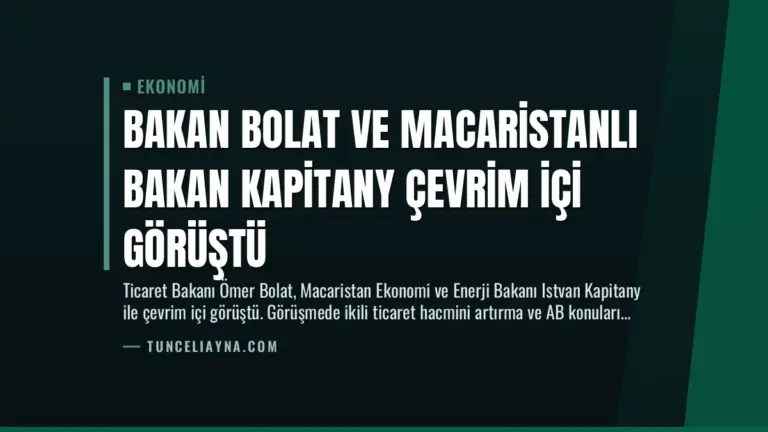 Bakan Bolat ve Macaristanlı Bakan Kapitany Çevrim İçi Görüştü