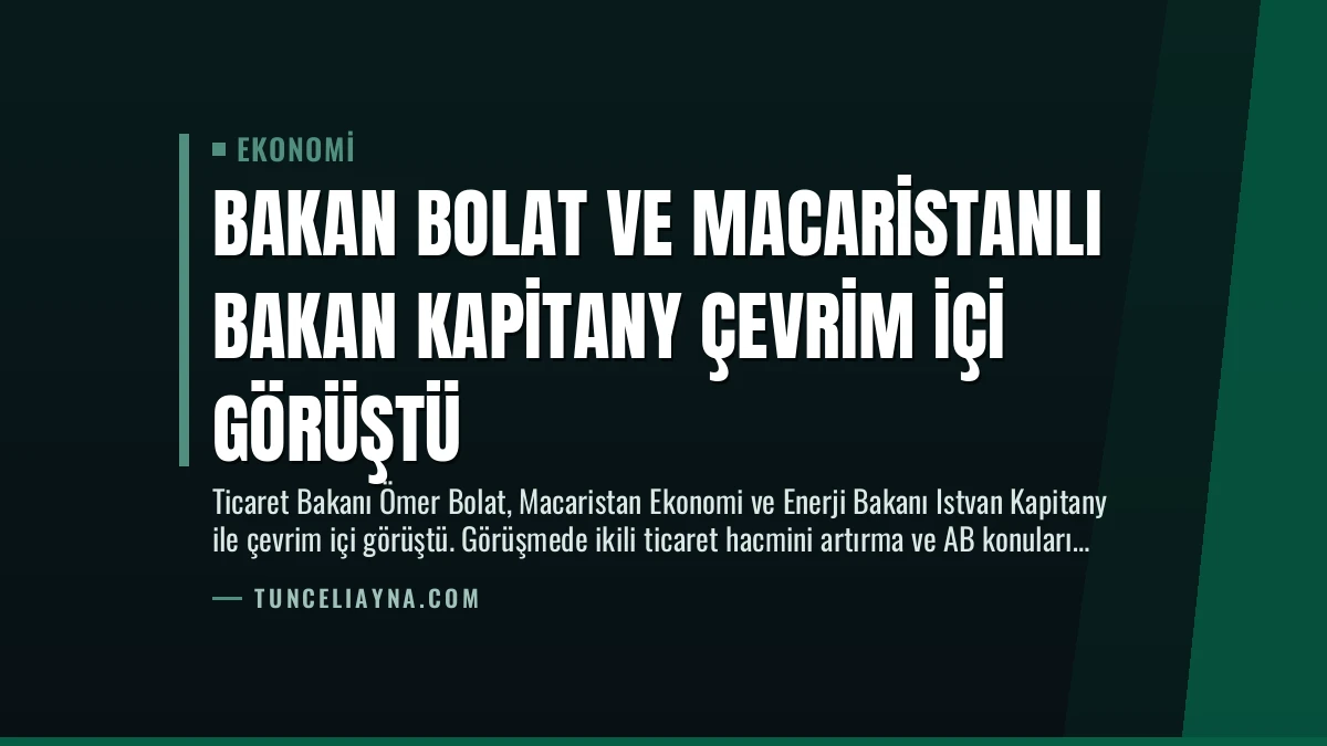 Bakan Bolat ve Macaristanlı Bakan Kapitany Çevrim İçi Görüştü