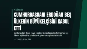 Cumhurbaşkanı Erdoğan beş ülkenin büyükelçisini kabul etti