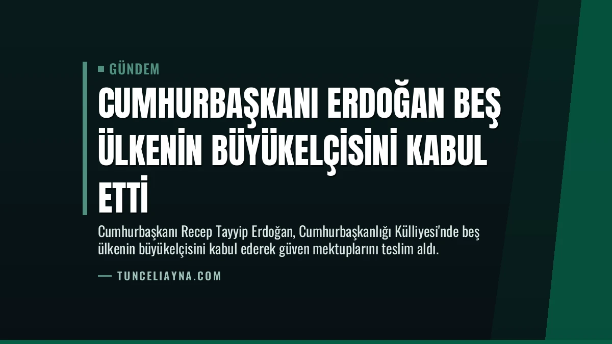 Cumhurbaşkanı Erdoğan beş ülkenin büyükelçisini kabul etti