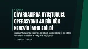 Diyarbakırda Uyuşturucu Operasyonu 48 Bin Kök Kenevir İmha Edildi