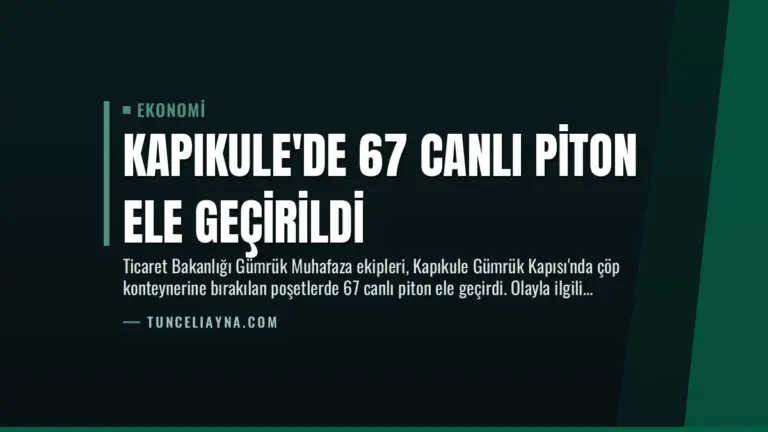Kapıkule’de 67 Canlı Piton Ele Geçirildi