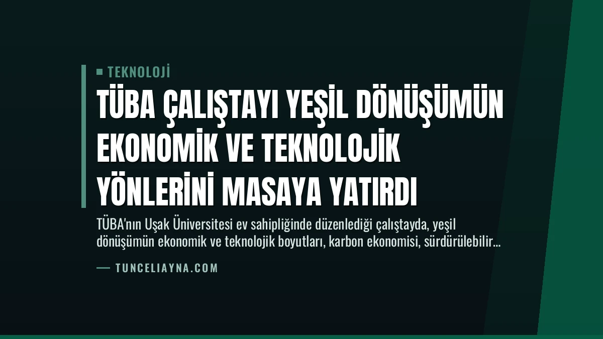 TÜBA Çalıştayı Yeşil Dönüşümün Ekonomik ve Teknolojik Yönlerini Masaya Yatırdı