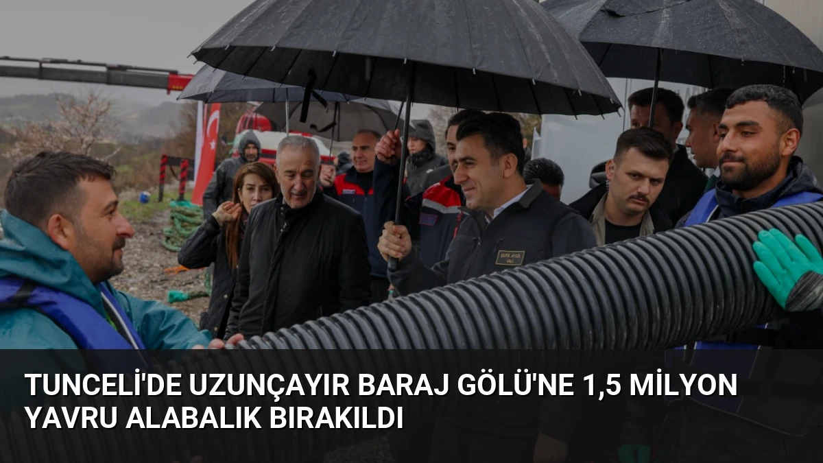 Tunceli’de Uzunçayır Baraj Gölü’ne 1,5 Milyon Yavru Alabalık Bırakıldı