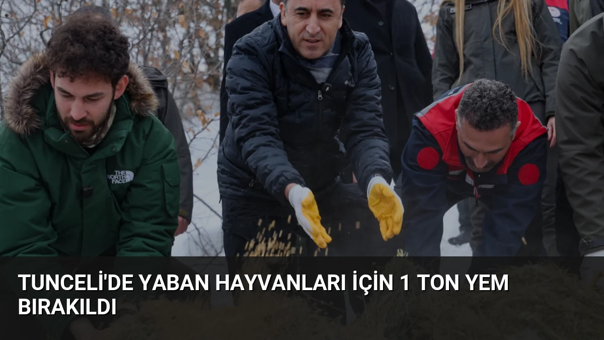 Tunceli’de Yaban Hayvanları İçin 1 Ton Yem Bırakıldı