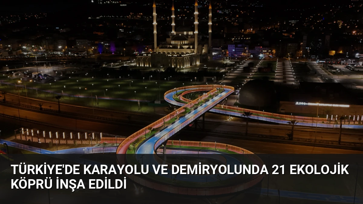 Türkiye’de Karayolu ve Demiryolunda 21 Ekolojik Köprü İnşa Edildi